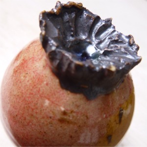 fliegender K&auml;fer