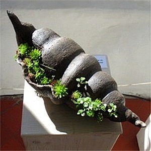 fliegender K&auml;fer